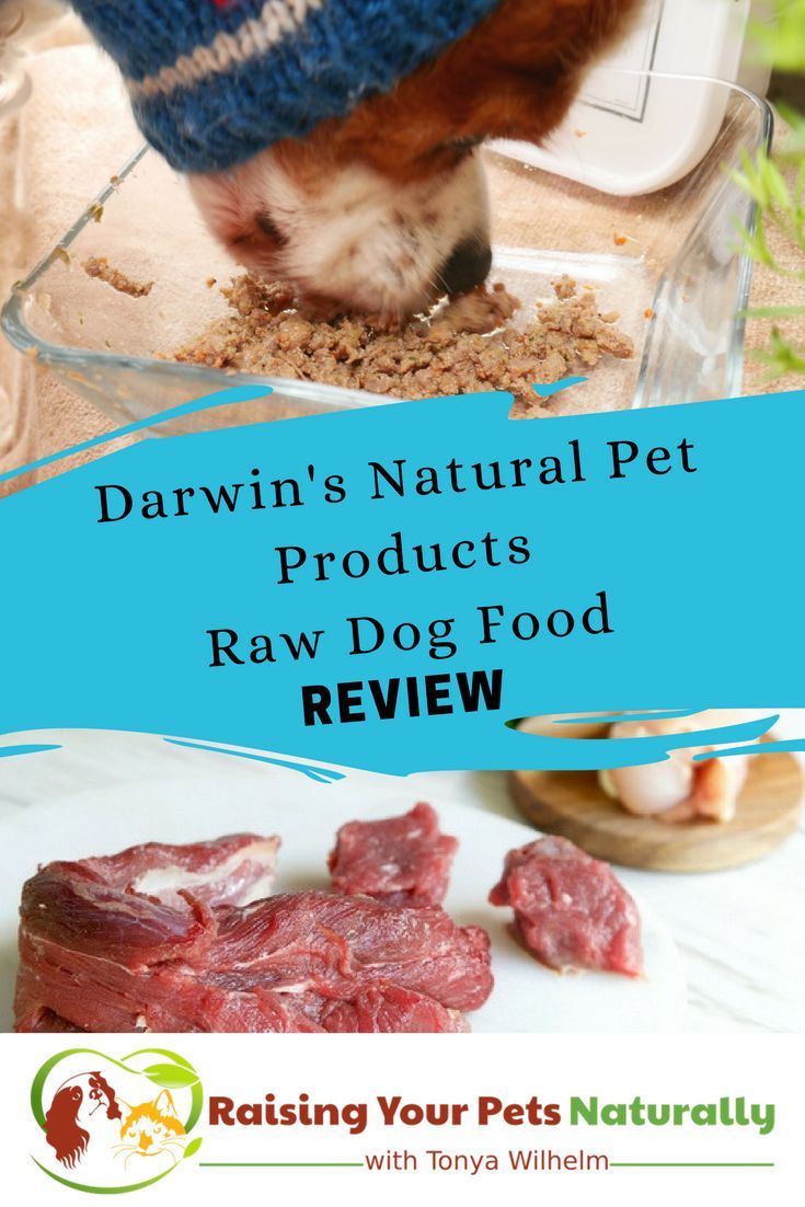Review Of Darwin S Raw Diet Dog Food Review Of Darwin S Raw Diet Dog Food