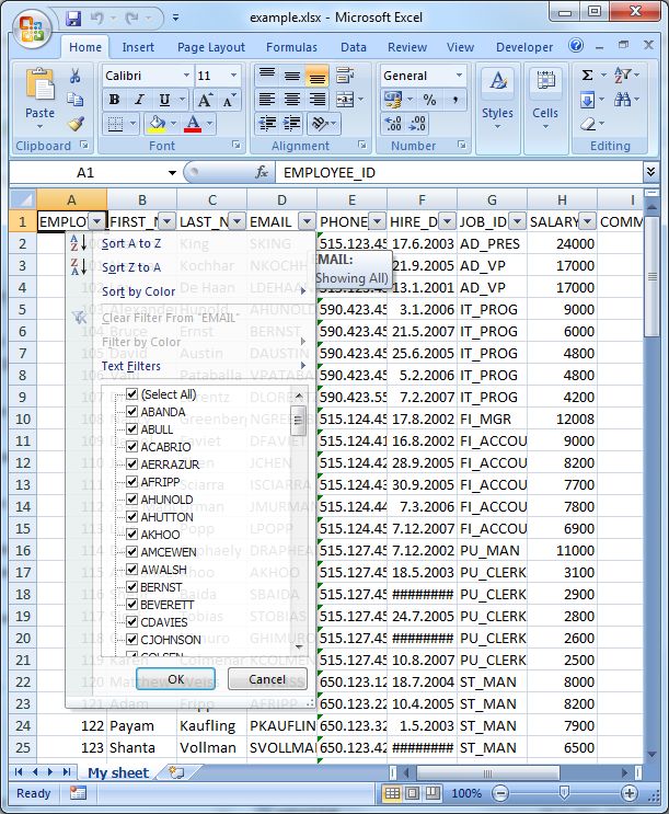 excel p l