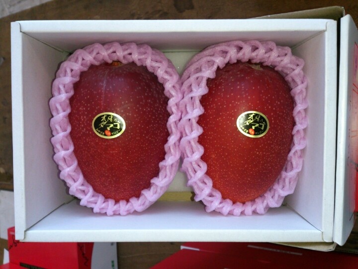 Top 10 Most Expensive Fruits in The World 2022 1c37b5644d4666873fb5b50f8e29154d fresh fruit