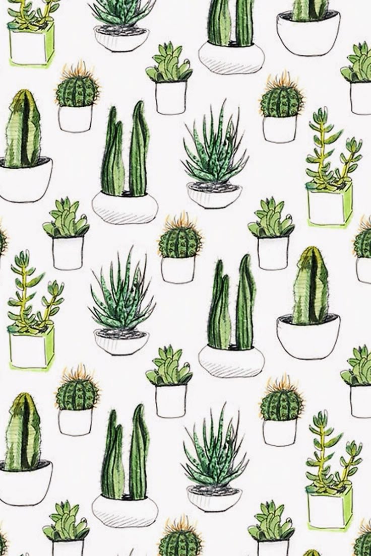 Best 25 Cactus drawing ideas on Pinterest | Cactus art, Doodle ... Best 25 Cactus drawing ideas on Pinterest | Cactus art, Doodle ...