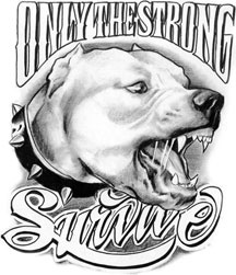 only the strong survive pitbull tattoo pinterest tatting and only the strong survive pitbull tattoo pinterest tatting and