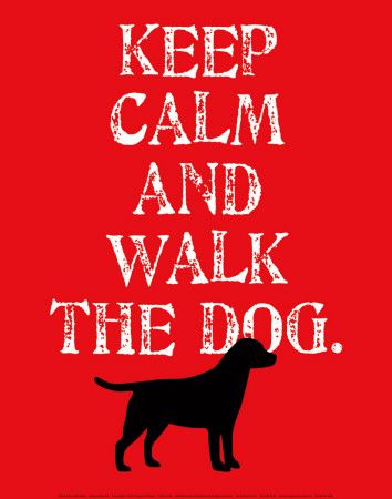 32 best Dog Walking images on Pinterest Pet sitting business - lost pet flyer template free 32 best Dog Walking images on Pinterest Pet sitting business - lost pet flyer template free