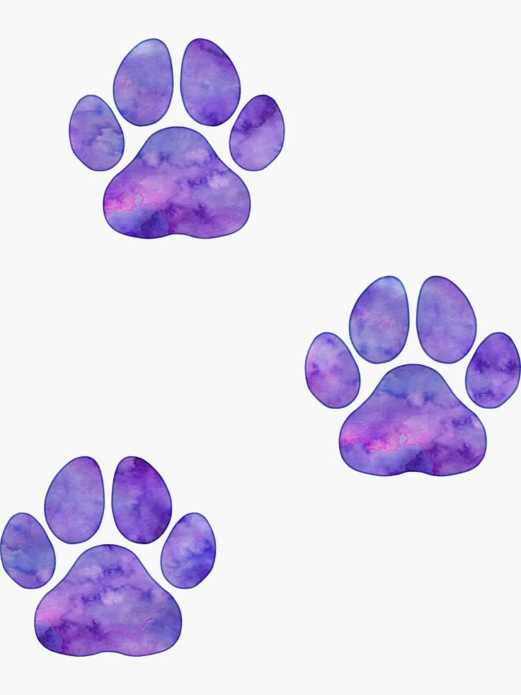 paw print art kit