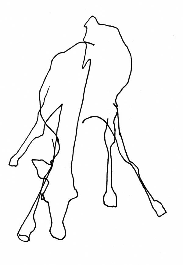 Blind Contour Line Drawing Lesson Plan : The best blind contour drawing ideas on pinterest