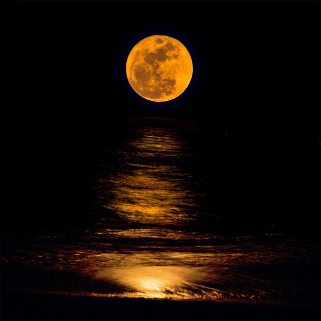 Last supermoon of 2021 sure to dazzle the night sky in June