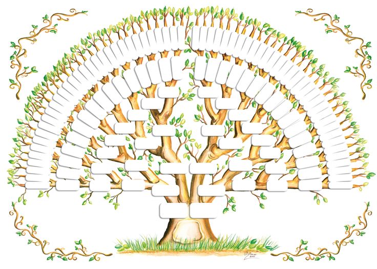 Genea Murgia's Family Tree Gallery Family tree template, Family tree Genea Murgia's Family Tree Gallery Family tree template, Family tree