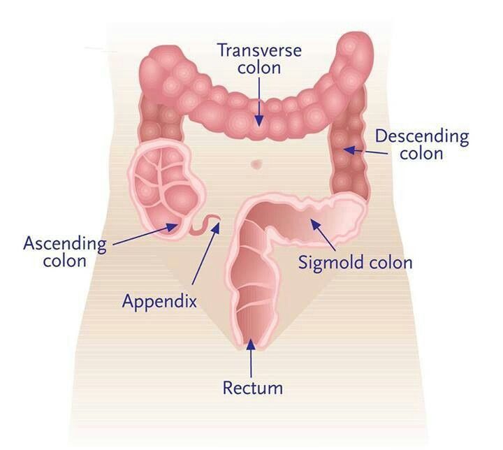 top 10 colon detox