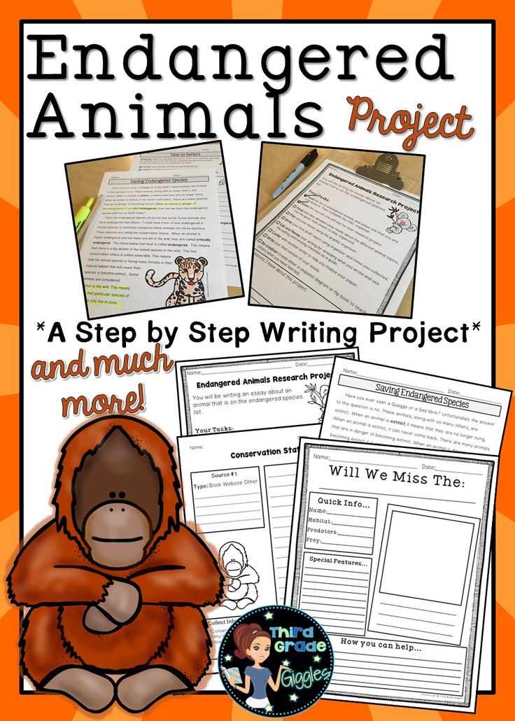 This endangered animal project is the perfect way to help you guide your students through the process of informational writing. Included are posters & a nonfiction article to give your students background knowledge on nature, endangered species, & extinction. Allow your students to research an endangered animal of their choice, like sea turtles or big cats, with this resource. Add this product to your lesson plans to engage your writers Earth Day and everyday. Click to see everything included!