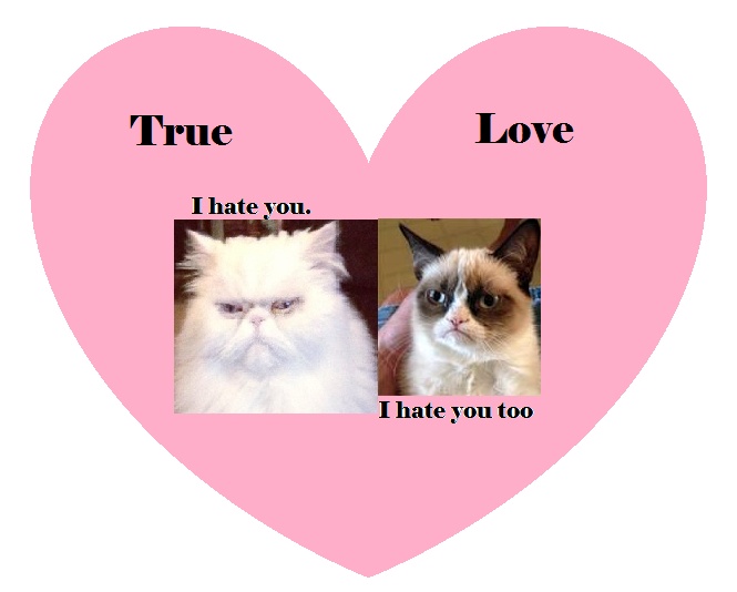 grumpy cat valentines day 90 best snarky valentines images on grumpy cat valentines day 90 best snarky valentines images on