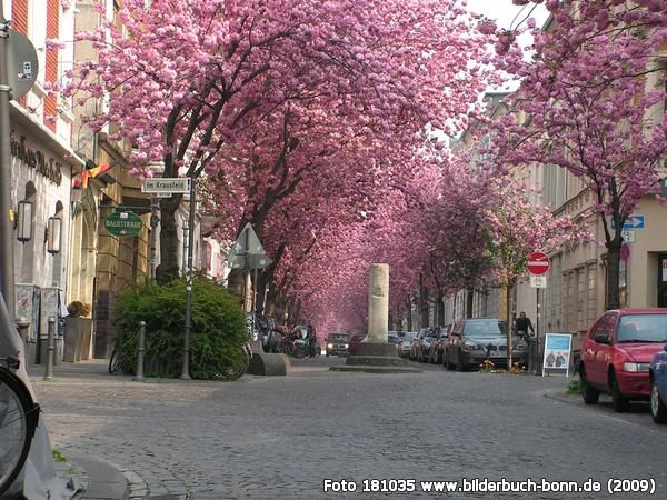 Er sucht sie bonn