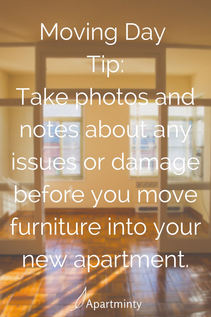 9 Essential Tips For Moving Day Apartment Hunting1st 9 Essential Tips For Moving Day Apartment Hunting1st