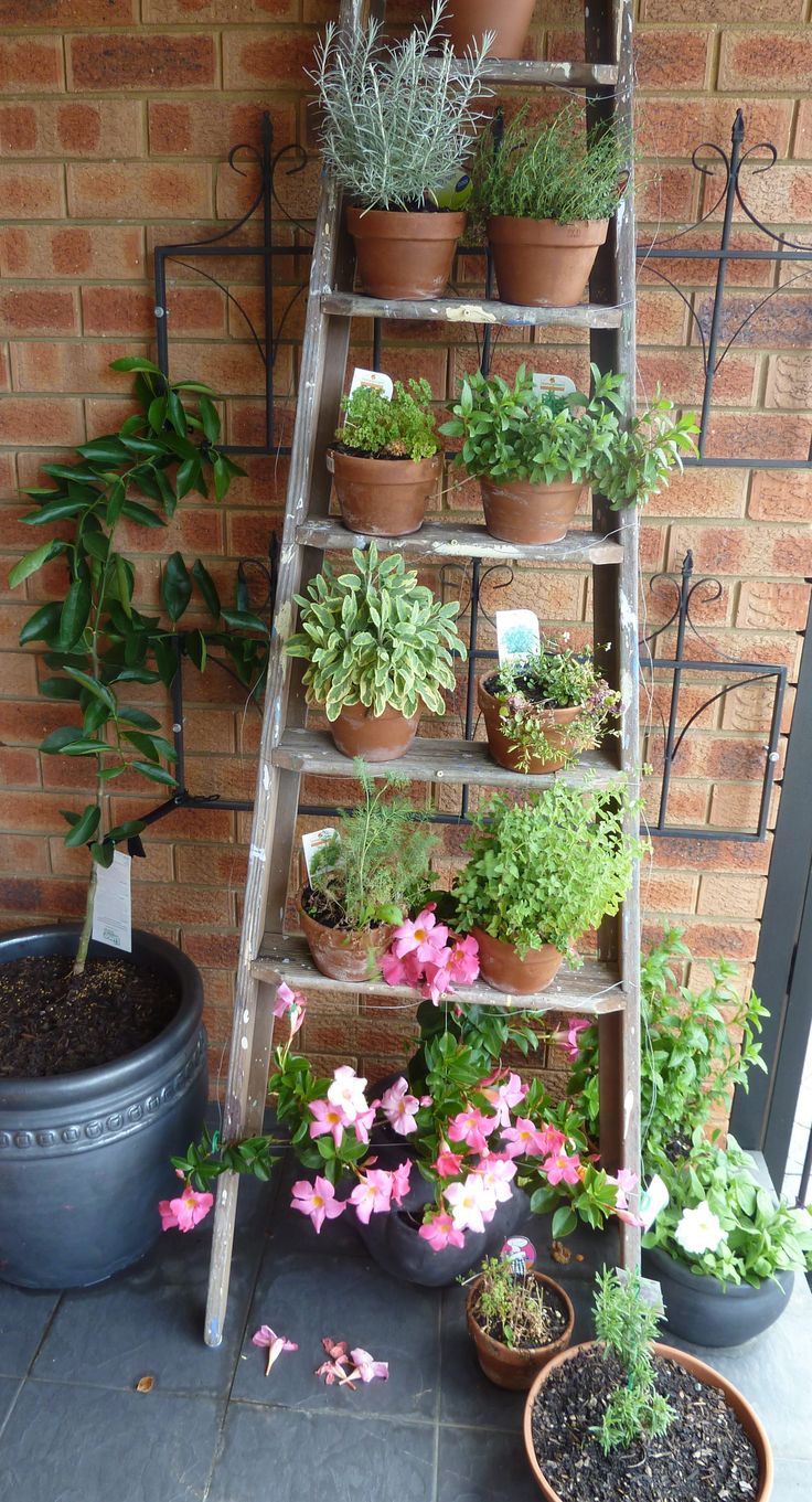 best 25+ garden ladder ideas on pinterest | herb planters best 25+ garden ladder ideas on pinterest | herb planters