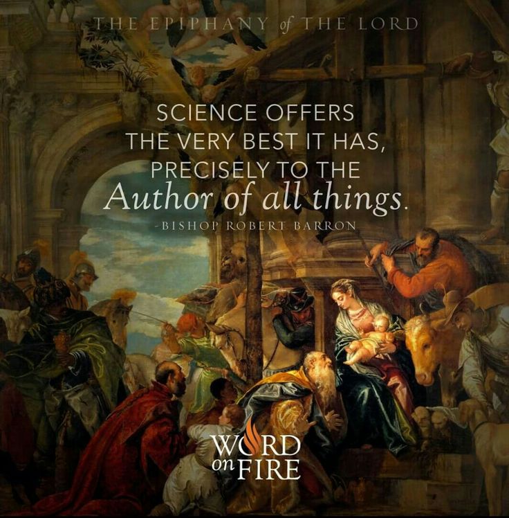 Pin by Savio on Advent and Christmas Barron, Author, Epiphany of the lord