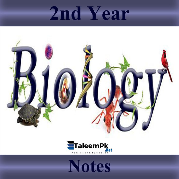 Do my biology esay - blogger.com