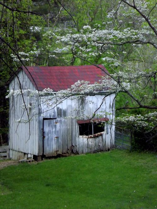 a garden shed in lexington virginia with a dogwood in the foreground spotted during - Garden Sheds Virginia a garden shed in lexington virginia with a dogwood in the foreground spotted during - Garden Sheds Virginia