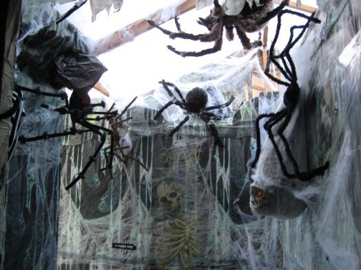 really great 3d effect with scene setters and then incorp websspiders thanks to