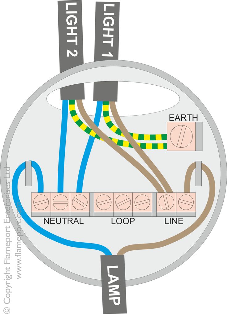 Multiple Lights From A Single Switch Electrical Wiring Ceiling Rose Lighting Electrical Wiring Ceiling Rose, Wiring A Ceiling Rose Loop