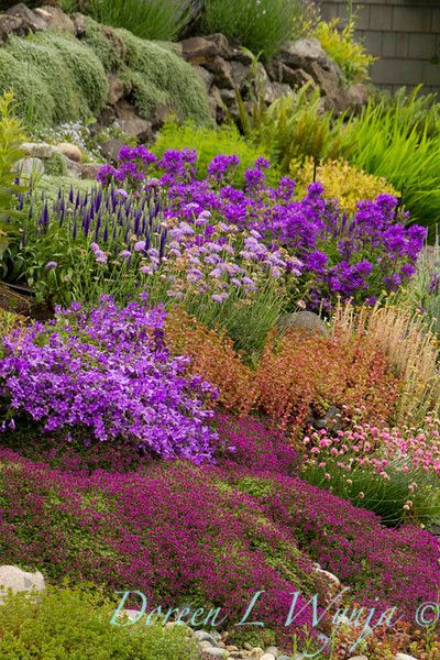 Garden Design Slope 115 best slopes images on pinterest | landscaping, gardens and Garden Design Slope 115 best slopes images on pinterest | landscaping, gardens and