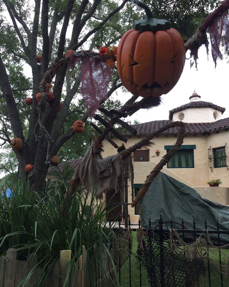 Our Version of Harry Potter's Pumpkin Juice - | Pumpkin juice, Harry