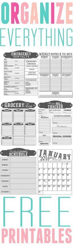 Organization: Free Printables to help you organize every aspect of your life! super simple methods to keep your papers and affairs in order! Next time you are looking for an important document of need to file something you wont have to think twice with this easy system! and its totally free! Organization, organize, organize paper work, paperwork organization, family planner, family organization, organize your entire home, organize your life, get organized, dollar store organization ideas,
