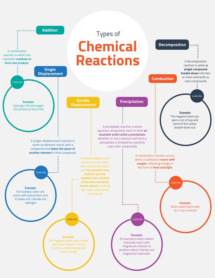 Light Reactions Chemistry Concept Map Venngage Concept Map Template what-is-a-chemical-equation