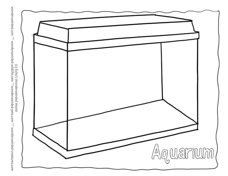 17 best school learning underwater friends coloring pages of ocean ... - Aquarium Coloring Pages Printable 17 best school learning underwater friends coloring pages of ocean ... - Aquarium Coloring Pages Printable