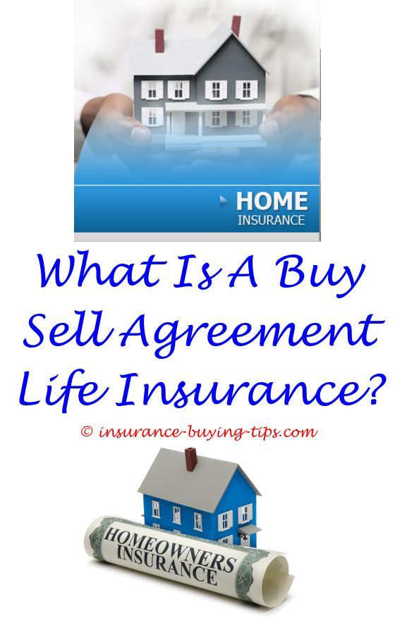 Allstate Insurance Quote Cool Buy An Allstate Insurance Agency Best Buy Certificate Of Insurance . Allstate Insurance Quote Alluring Buy An Allstate Insurance Agency Best Buy Certificate Of Insurance .