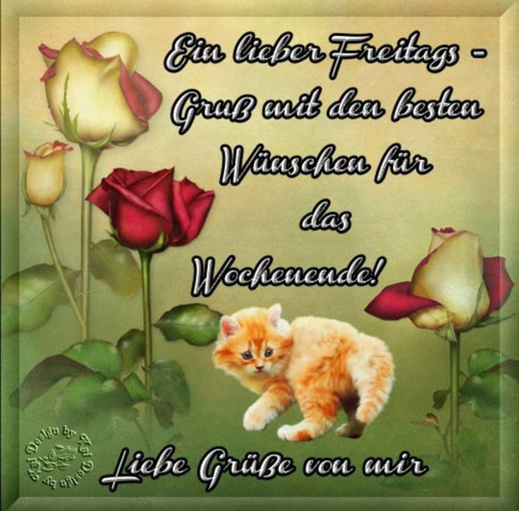 Nachmittag bilder kostenlos