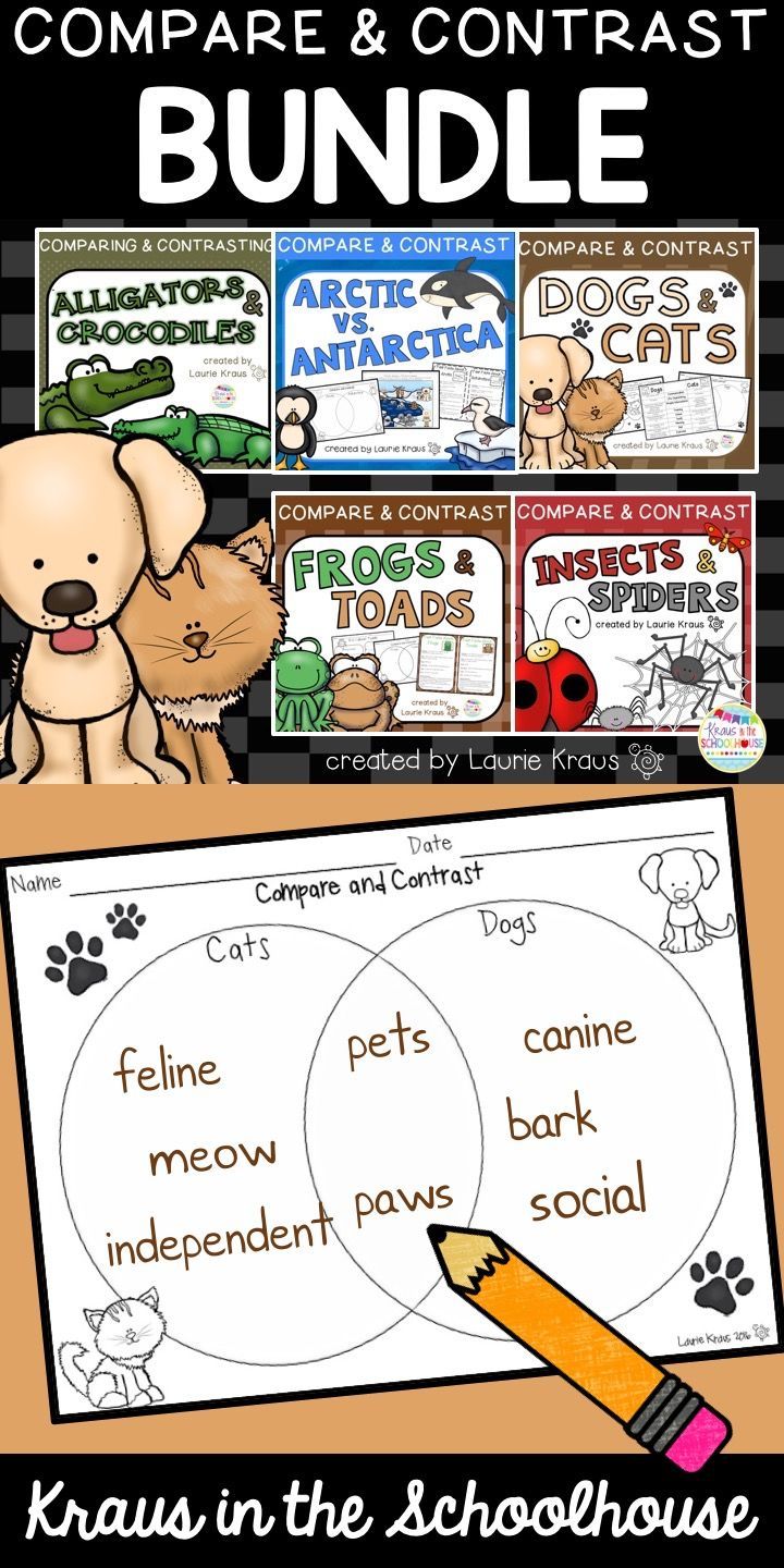 compare and contrast essay cats and dog compare and contrast essay cats and dog