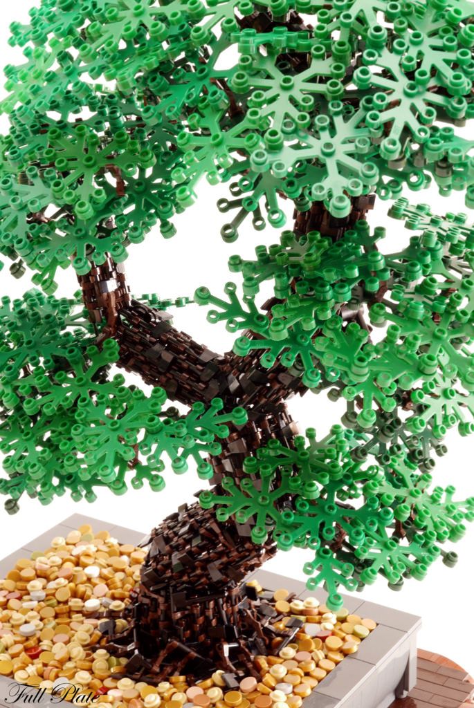 Elegant Bonsai Tree on a Table