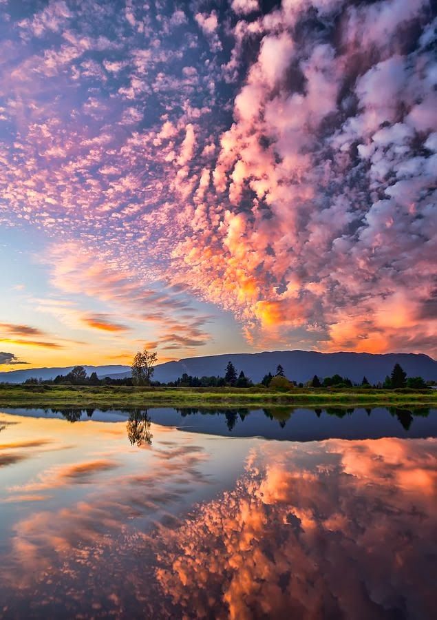 20 Stunning Pictures Of Nature That Will Blow Your Mind Incredible Pictures Cute Nature Beautiful Amazing Nature 20 Stunning Pictures Of Nature That Will Blow Your Mind Incredible Pictures Cute Nature Beautiful Amazing Nature