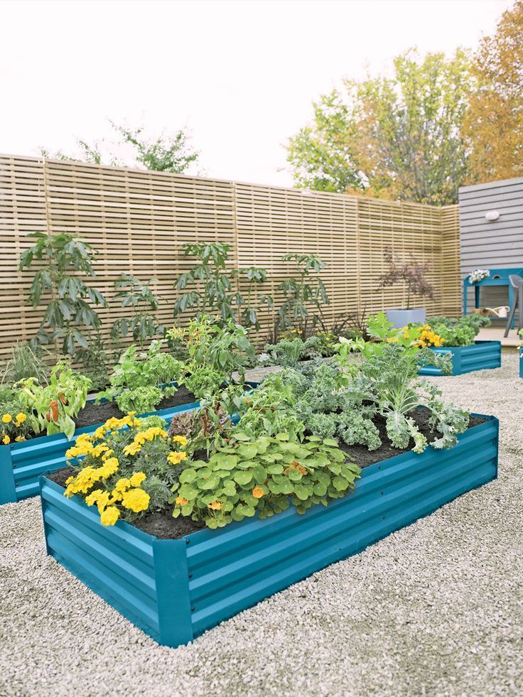 Diy Hochbeete Mit Wellblech Ich Liebe Meine Diy Hochbeete Sie Sind Die Perfekte Einfache Gartenbox Fur Jemanden Der Noch K In 2020 Hochbeet Diy Hochbeet Gartenbox