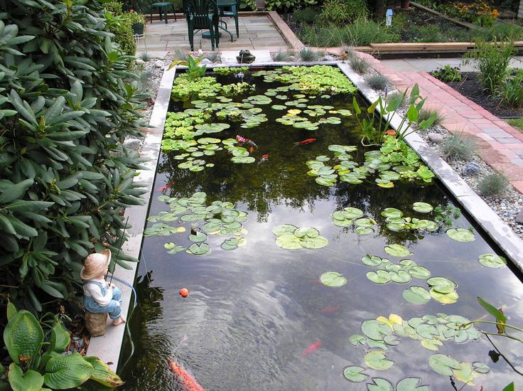 Best 25+ Coy pond ideas on Pinterest | Koi ponds, Water features ... Best 25+ Coy pond ideas on Pinterest | Koi ponds, Water features ...