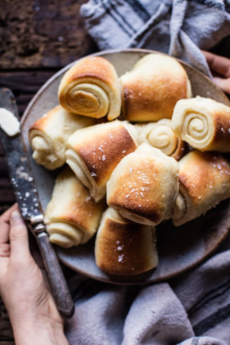 Fast, Fantasy and Festive: Cake Tortoise Recipe Fast, Fantasy and Festive: Cake Tortoise Recipe