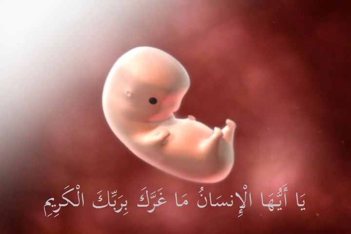 مشاري العفاسي يا أيها الإنسان ما غرك بربك الكريم