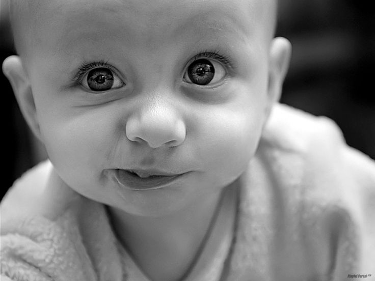 Cute White Baby with Butterfly HD Photos Baby boy photography, Cute baby boy, Ba