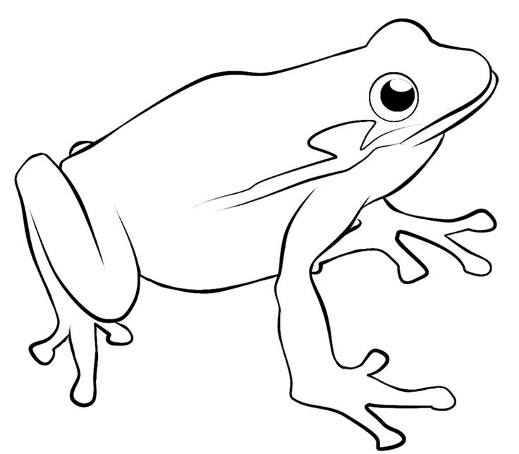 2692 best Vinyl images on Pinterest Silhouettes, Horse silhouette - fresh coloring pages tree frog 2692 best Vinyl images on Pinterest Silhouettes, Horse silhouette - fresh coloring pages tree frog