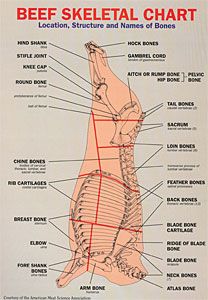 Pin on FOOD: Butcher Cuts Of Meat & Fish Filets