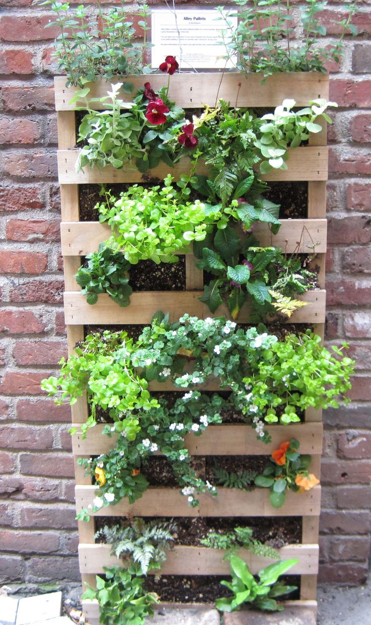 best 10+ pallet garden walls ideas on pinterest | herb garden best 10+ pallet garden walls ideas on pinterest | herb garden