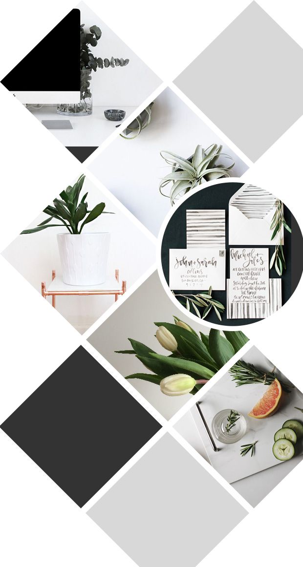 catalog layout