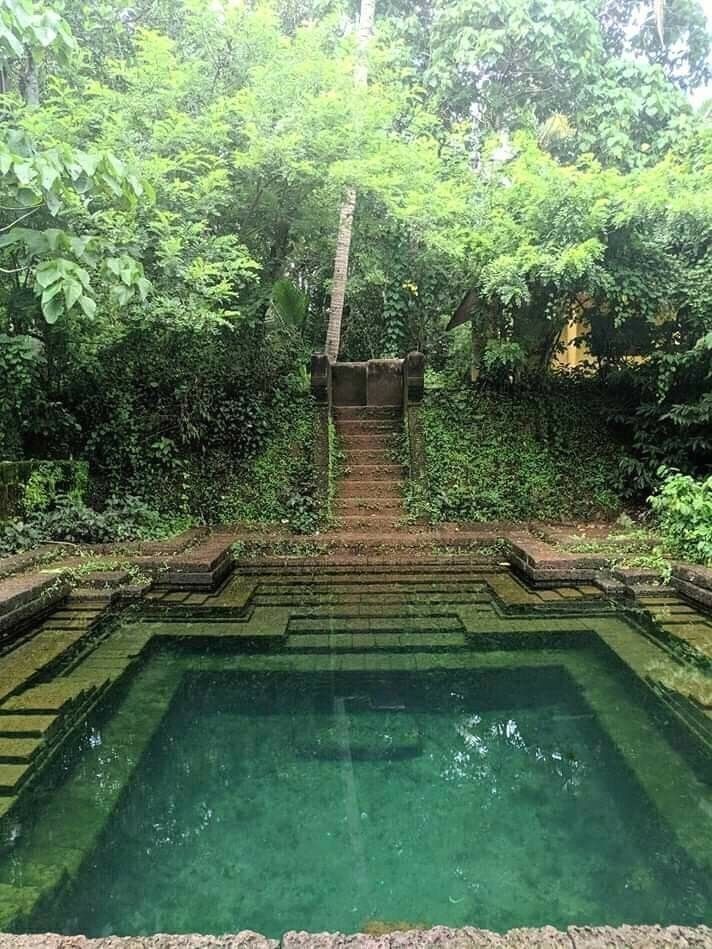 Modern Design Natural Swimming Pools Natural Swimming Pools Pools Small Pools Swimming Pools Natura Water Architecture Village House Design House Boat Kerala