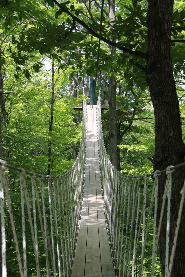 The 25+ best Canopy meaning ideas on Pinterest Meaning of cosy - is receival a word The 25+ best Canopy meaning ideas on Pinterest Meaning of cosy - is receival a word