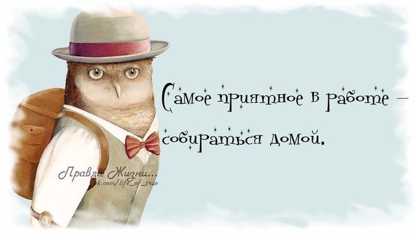 Смешные картинки хочу домой с работы, любовь