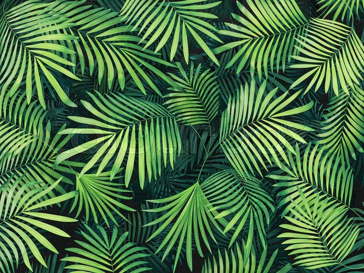 Green tropical leaves background 3d render illustration Palm Green tropical leaves background 3d render illustration Palm