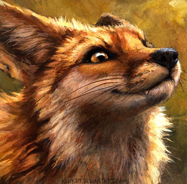 furry,фурри,фэндомы,furry art,furry fox,furry wolf,furry artist,Kenk...