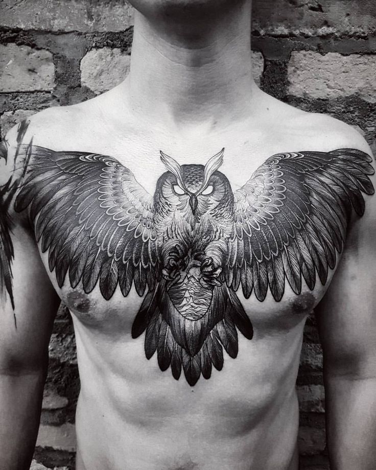 Top 84+ owl chest tattoo super hot