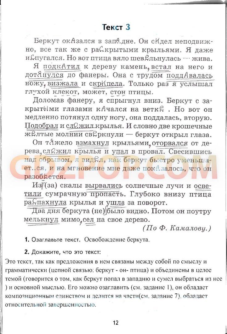 Сочинение По Учебнику 3 Класса Сочинение По Учебнику 3 Класса