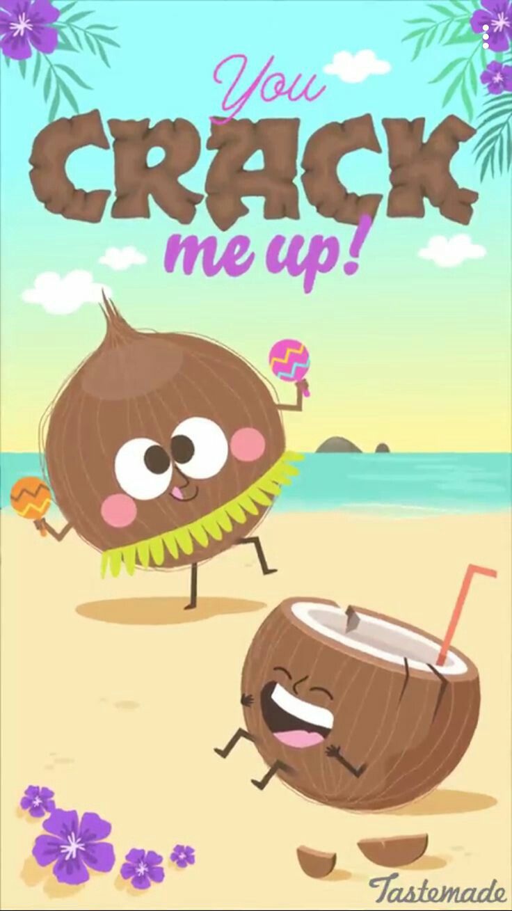 pic Cute Coconut Puns punny puns cute puns