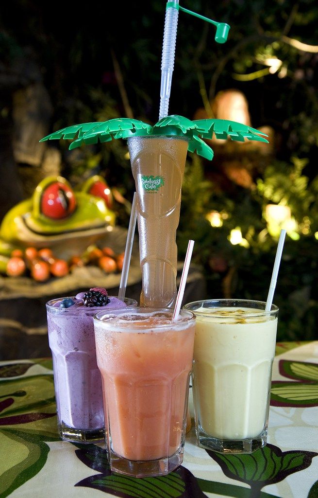 Rainforest Cafe Rainforest Ricky Rainforest Cafe Rainforest Ricky
