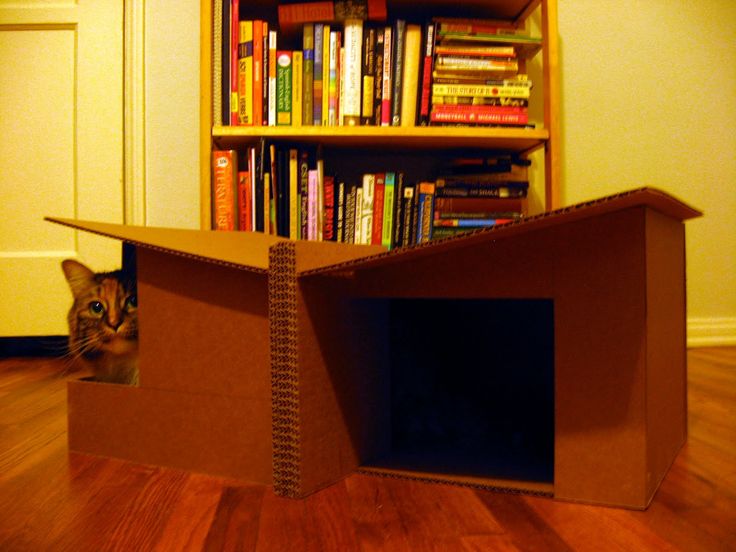 88 best Cat Cardboardings images on Pinterest | Cat stuff, Cat ... 88 best Cat Cardboardings images on Pinterest | Cat stuff, Cat ...